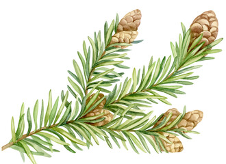 Christmas tree branch with pine cones.