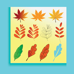 Autumn leaves vector set for fall seasonal elements with maple and oak leaf.