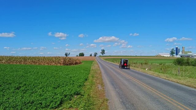 An Amish Horse and Buggy Trotting Away Down a Country Road