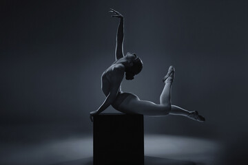 Ballet, dance and woman ballerina in art pose for a theatre or stage performance with a dark...
