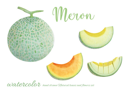 メロンのイラスト の画像 5 4 件の Stock 写真 ベクターおよびビデオ Adobe Stock