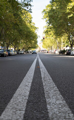 Defocused on purpose. City center road with trees , cars and leading white painted lines