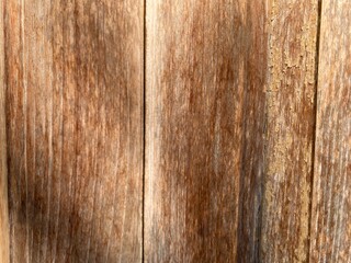 close up old rustic wood texture for background. artistic texture