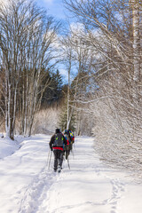 Hikers on a snowy woodland trail