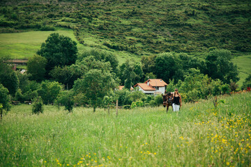 Obraz premium Woman with brown horse walking in a meadow