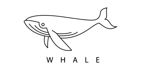 whale outline stroke for logo design