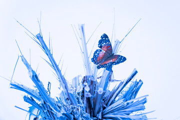 butterfly in blue