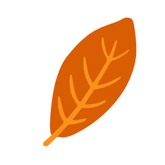Trendy leaf illustration in minimalist style for natural design element
