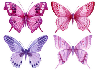 Fototapeta na wymiar Set of butterflies isolated on a white background. Watercolor Illustration