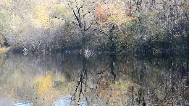 autumn reflections on the mountain lake