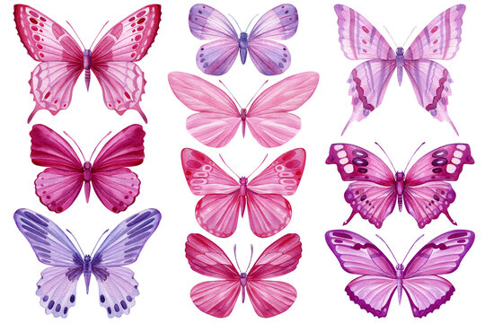 Pink and purple butterflies set, isolated background. Watercolor Illustration, vintage style. Template for your design.