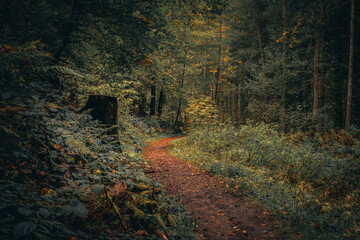 Natur und Landschaft Bayerischer Wald. Bayern Deutschland