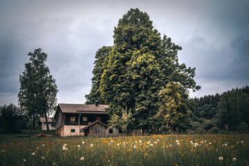 Natur und Landschaft Bayerischer Wald. Bayern Deutschland