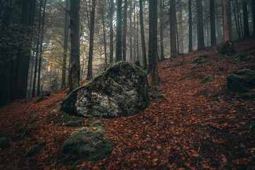 Herbst Rißlochwasserfälle im Naturpark Bayerischer Wald. Bayern Deutschland