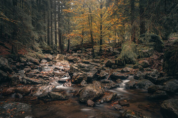 Herbst Rißlochwasserfälle im Naturpark Bayerischer Wald. Bayern Deutschland