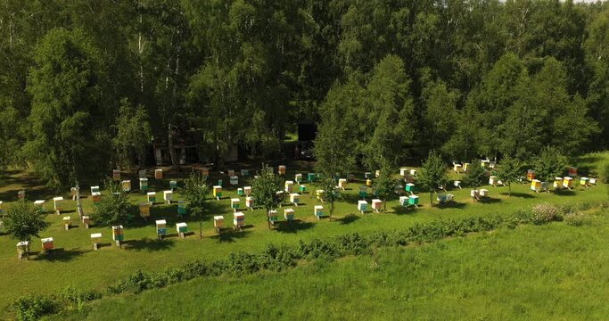 Aerial view of colorful beehives in a beehive farm. Many hives for collecting nectar by bees, natural honey extraction in the village