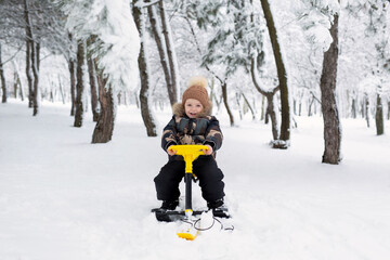 Small boy sits on a sledge, snowcat in a snow-covered forest.