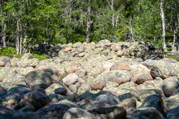 Glacier Rock field covering the terrain and path in woodland parts of dramatic Skuleskogen National Park, in Sweden High Coast.