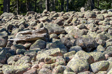 Glacier Rock field covering the terrain and path in woodland parts of dramatic Skuleskogen National Park, in Sweden High Coast.