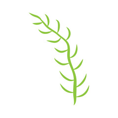 Green leafy plant with decorative art isolated vector illustration