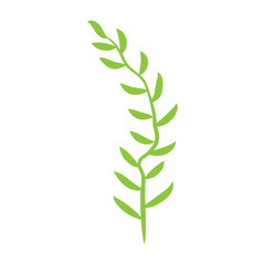 Green leafy plant with decorative art isolated vector illustration