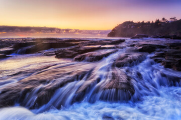SEa Whales flat rocks stream careel