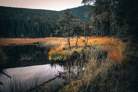 Kleiner Arbersee im Arberland Bayerischer Wald