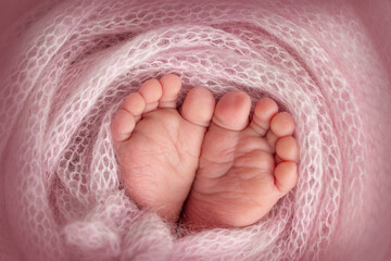 Soft feet of a new born in a pink wool blanket. Close-up of toes, heels and feet of a newborn. 