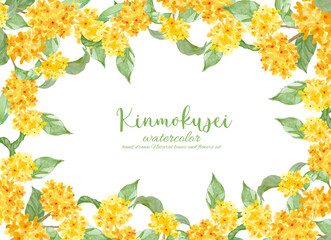 Obraz premium 水彩で描いたキンモクセイの花のフレーム