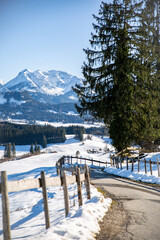 Wanderweg in den allgäuer Alpen mit kleinem Bergdorf im Hintergrund