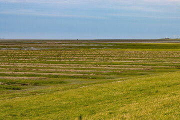 Wood barrier for land reclamation in the wadden sea, north sea Germany