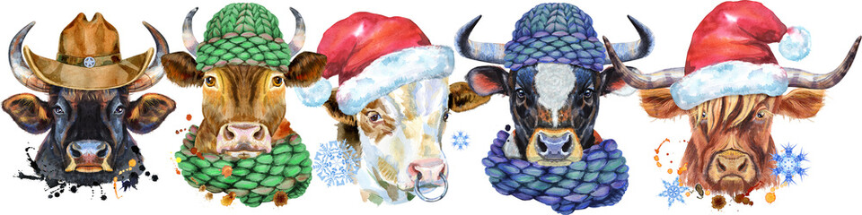 Cute border from watercolor portraits of bulls. For t-shirt graphics. Watercolor bulls illustration