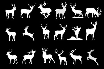 Deer silhouette illustration isolated on black background