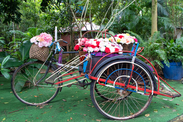 Old rusty bicycle tricycle with flowers plastic variety of colors beautiful colorful parked on...