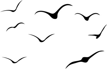 Black Flying Bird Silhouette