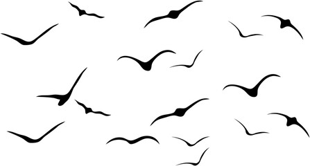 Obraz premium Black Flying Bird Silhouette