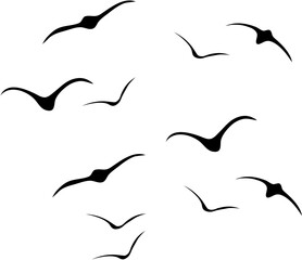 Black Flying Bird Silhouette