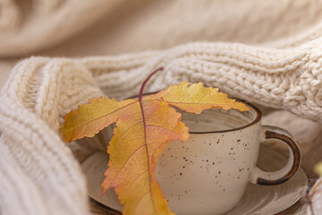 A white ceramic mug, warm knitted sweater a yellow autumn leaf. Warmth, cozy atmosphere concept, autumn background.