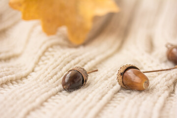 Autumn Acorns, yellow leaf, knitted warm blanket or sweater, autumn mood concept.