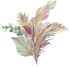 Bouquet of tropical dried flowers with palm branches painted in watercolor for postcards and design in boho style isolated on white background