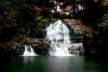 Long exposure of the beautiful cascading waterfall in the woods © Kenny Lin/Wirestock Creators