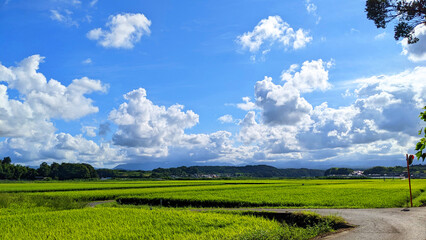 山間の水田 - 雲と青空 (鳥取県 北栄町 - Hokuei Town,Tottori Pref.) [ paddy field of Mountainous region ]