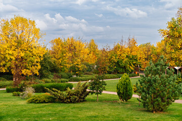 overcast sky above the park. the beauty of nature.