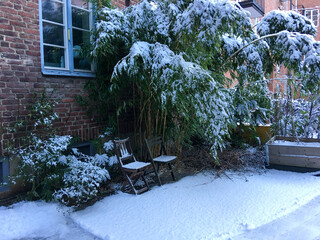 Snow covered seating and bamboo plant by historic brick facade