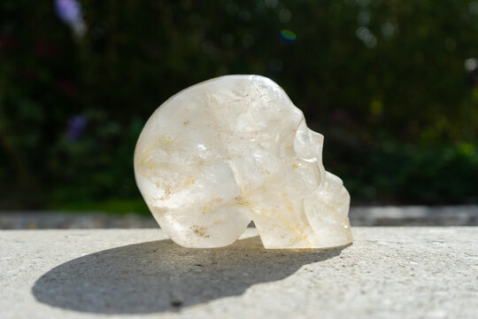 Crystal skull near house in front of garden.