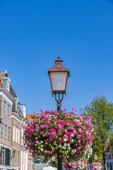 Flower basket with colorful pink and violet surfinia and geranium flowers in the center of Hoorn in North Holland in The Netherlands.
