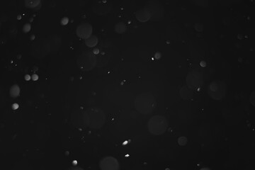 Snow background. Snow on a black background. Snowflakes for overlay.