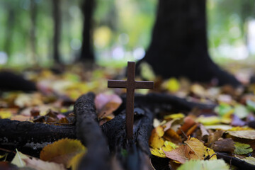 The cross of God in the rays of the sun. Background of religions