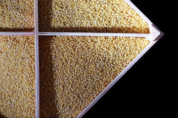 A set of grain cereals. Rice, buckwheat and millet groats in a wooden tray. A grocery set of...