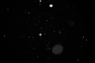 Snow background. Snow on a black background. Snowflakes for overlay.